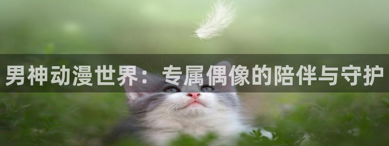 omofun动漫官网入口