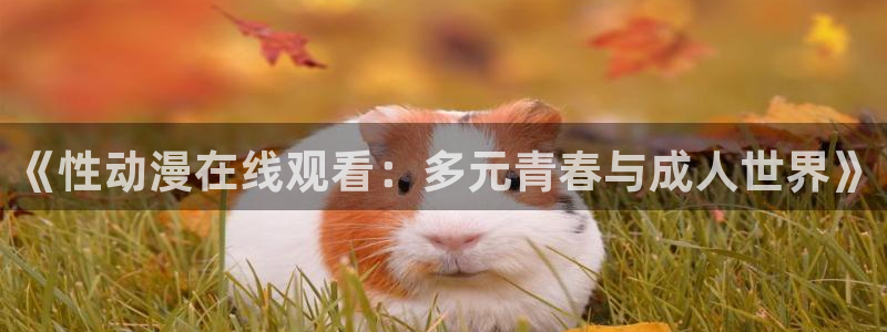 omofun动漫网页版