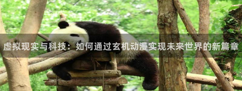 女神降临omofun动漫