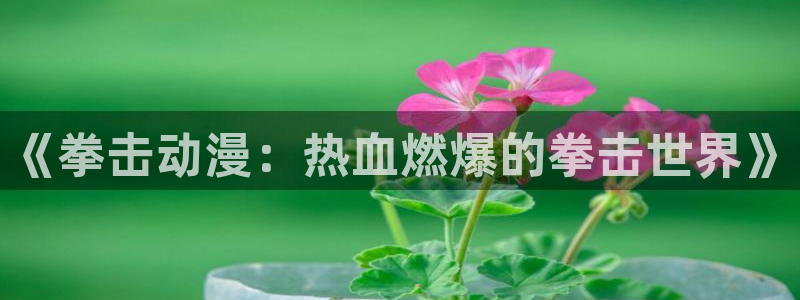 一彦动漫
